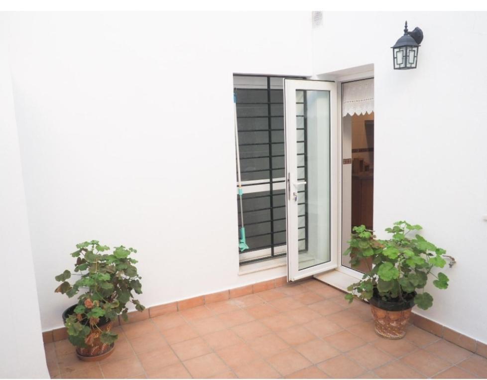 Conilplus Apartment Castilnovo كونيل ذي لا فرونتيرا المظهر الخارجي الصورة